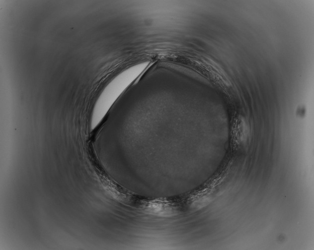 X0000097910420200804041505