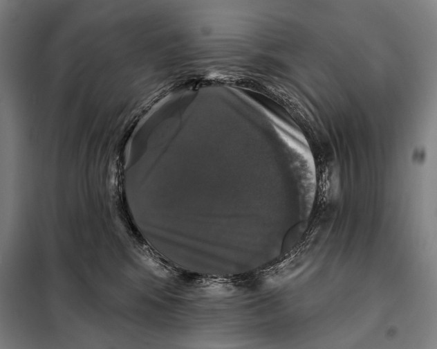 X0000097910424200804041505