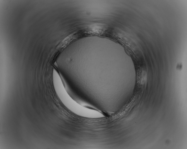 X0000097910425200804041505