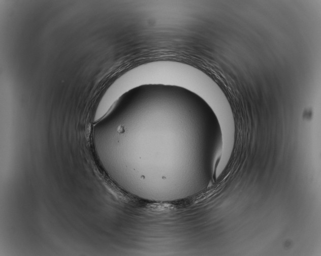 X0000097910427200804041505