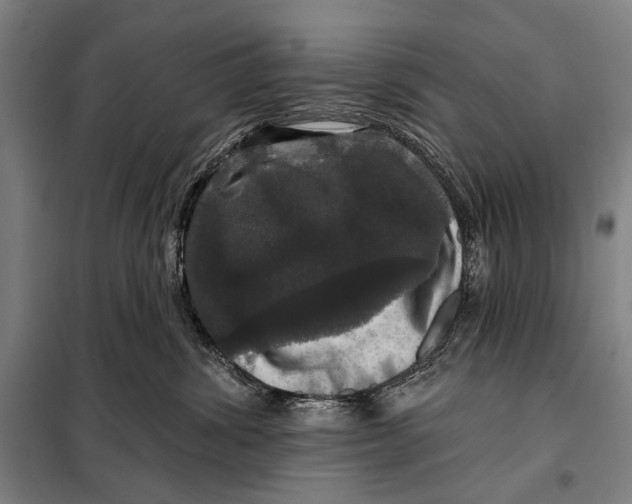 X0000097910428200804041505