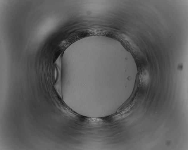 X0000097910429200804041505