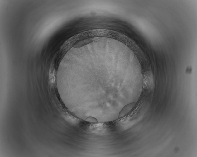 X0000097910431200804041505