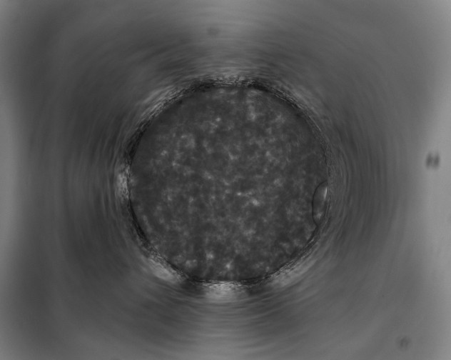 X0000097910432200804041505