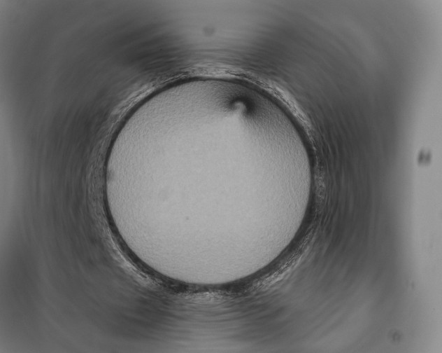 X0000097910433200804041505