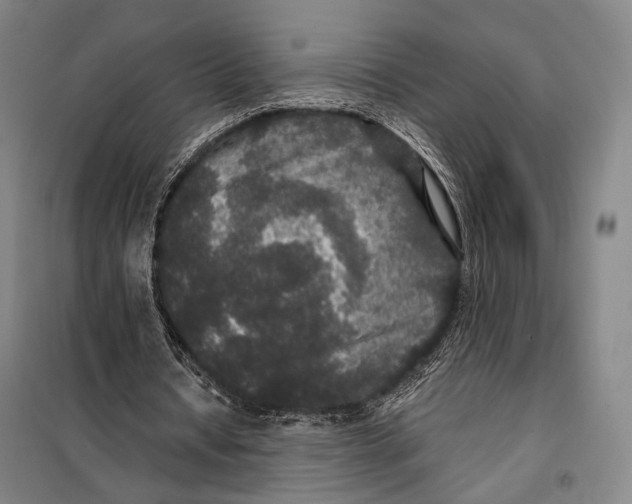 X0000097910434200804041505