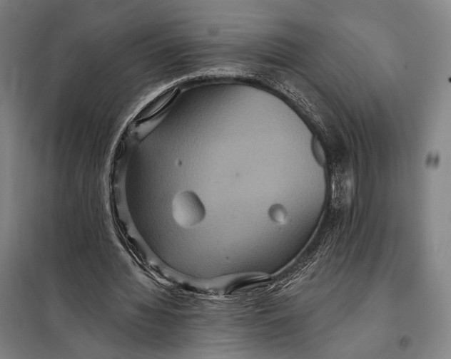 X0000097910436200804041505