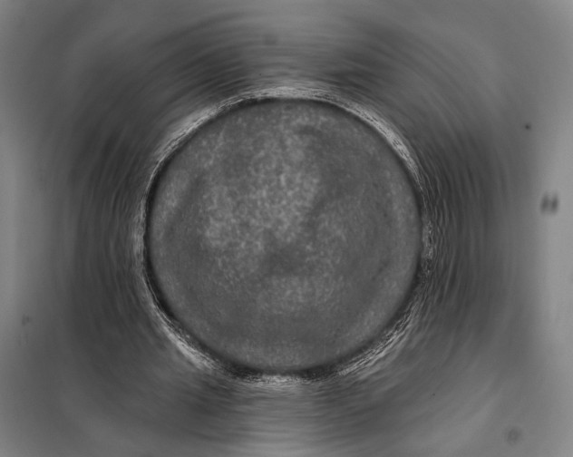 X0000097910437200804041505