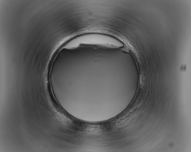 X0000097910438200804041505