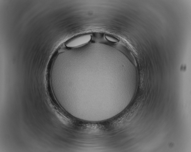 X0000097910439200804041505