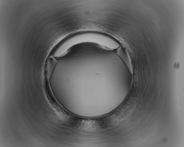 X0000097910440200804041505