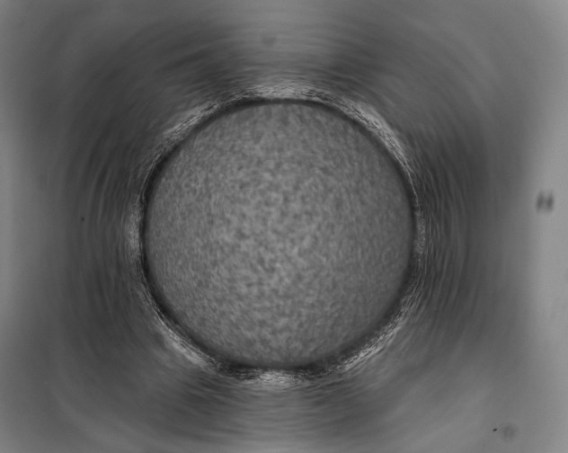 X0000097910441200804041505