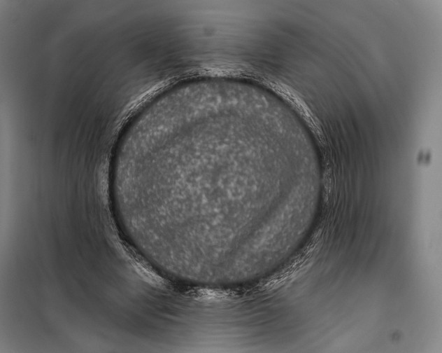 X0000097910442200804041505