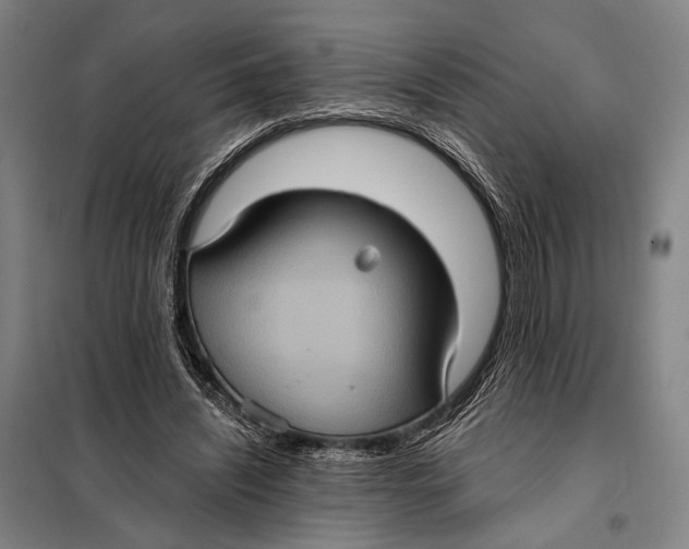 X0000097910444200804041505