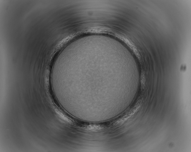 X0000097910445200804041505