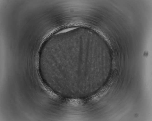 X0000097910446200804041505