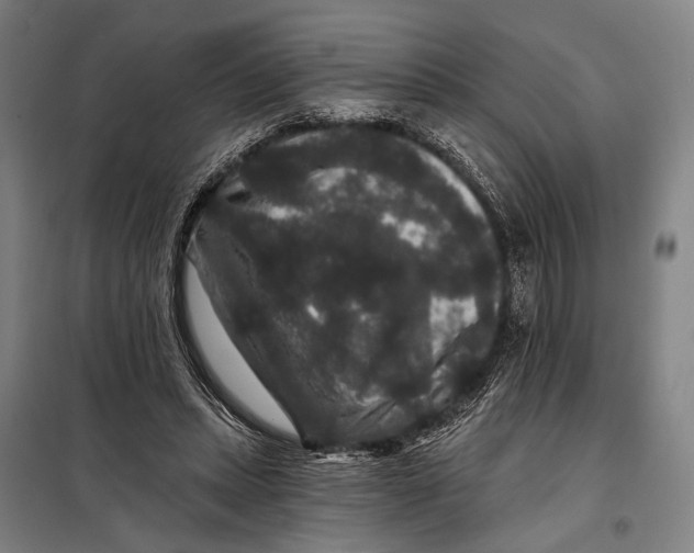 X0000097910447200804041505