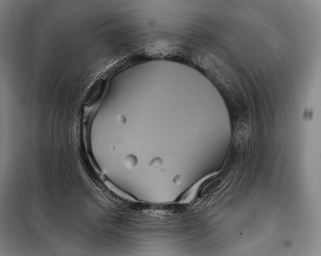 X0000097910448200804041505