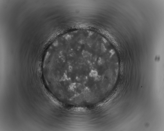 X0000097910449200804041505