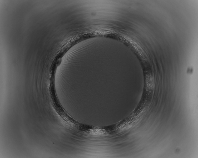 X0000097910451200804041505