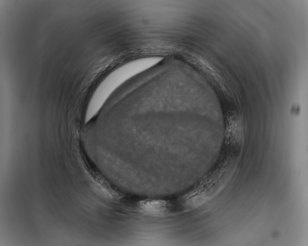 X0000097910452200804041505