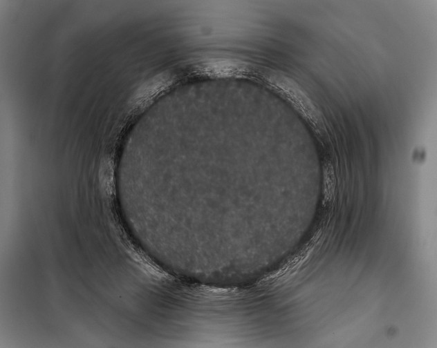 X0000097910453200804041505