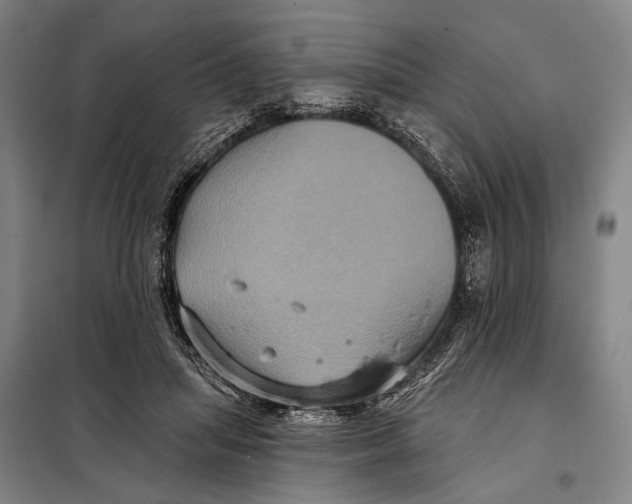 X0000097910455200804041505