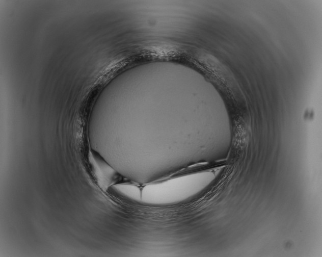 X0000097910456200804041505