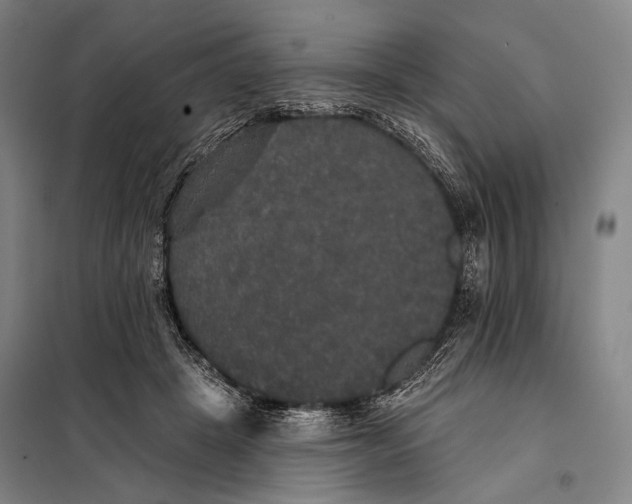 X0000097910457200804041505