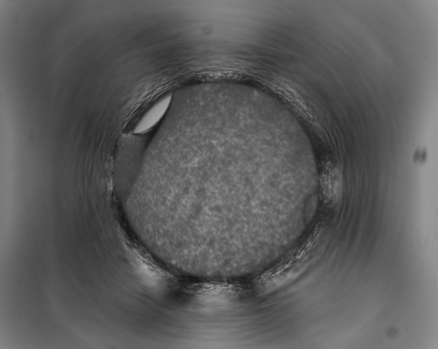 X0000097910458200804041505