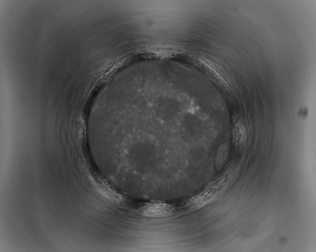 X0000097910459200804041505