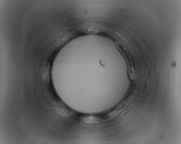 X0000097910460200804041505