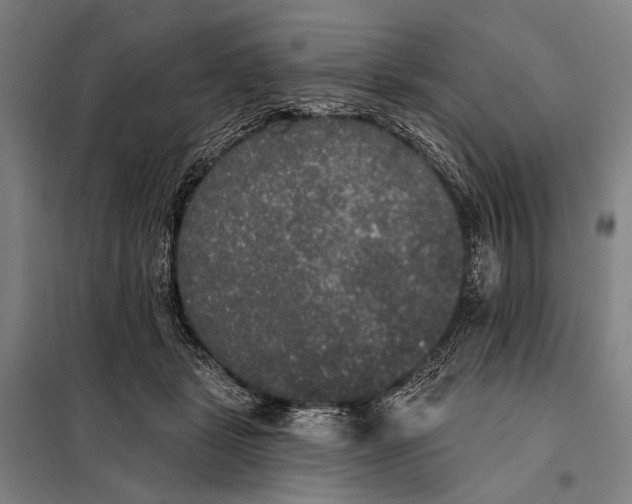 X0000097910461200804041505