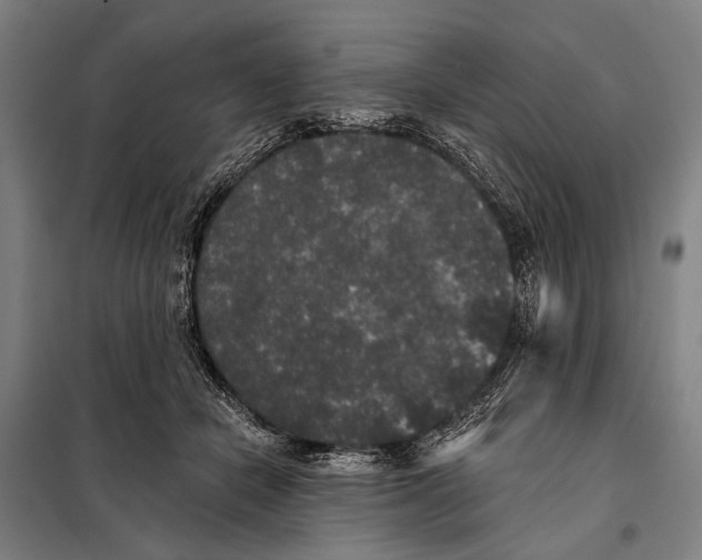 X0000097910462200804041505