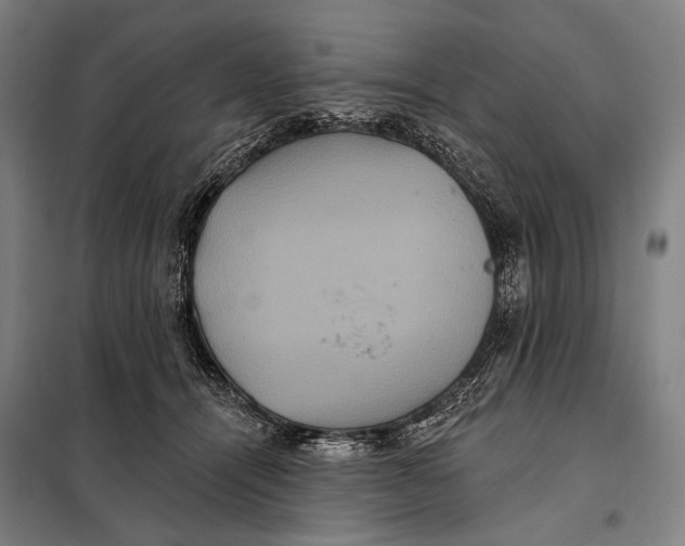 X0000097910464200804041505