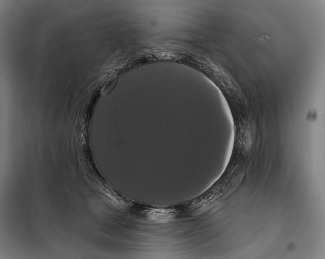 X0000097910465200804041505