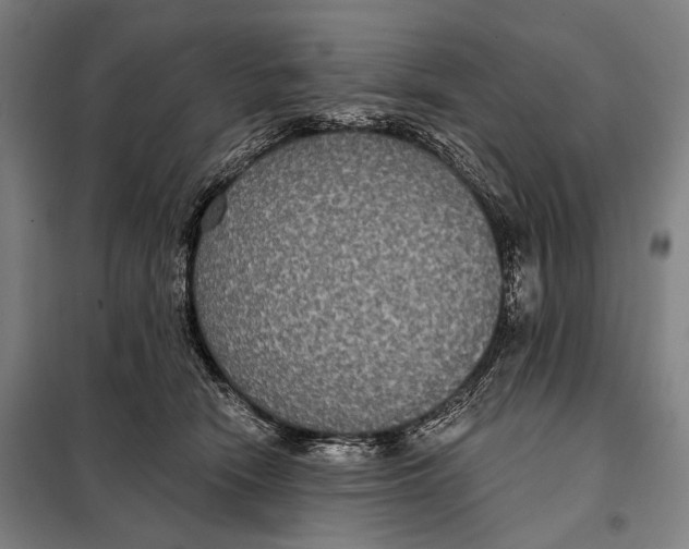 X0000097910466200804041505