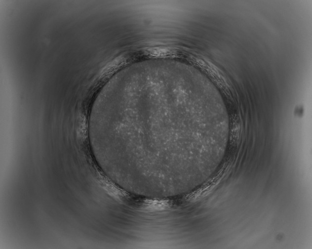 X0000097910469200804041505