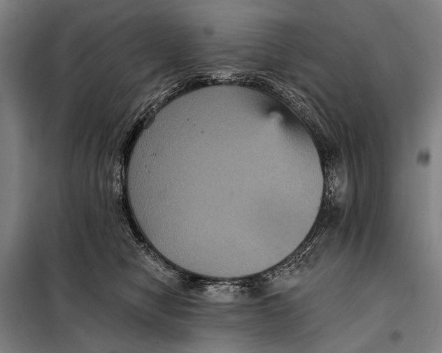 X0000097910470200804041505