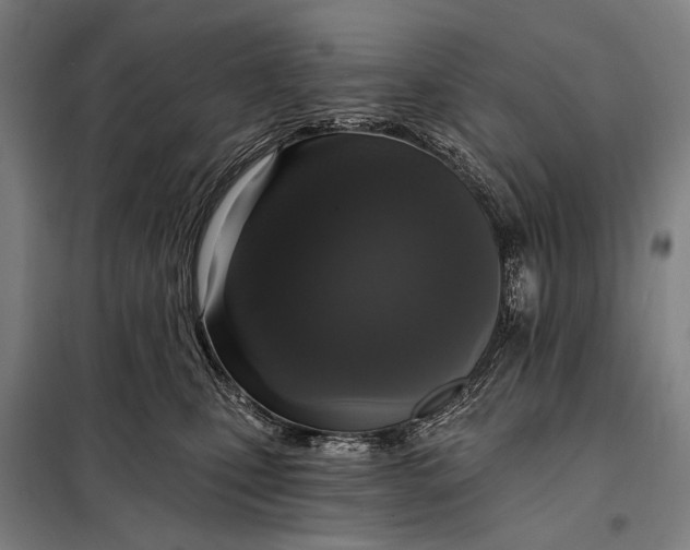 X0000097910471200804041505