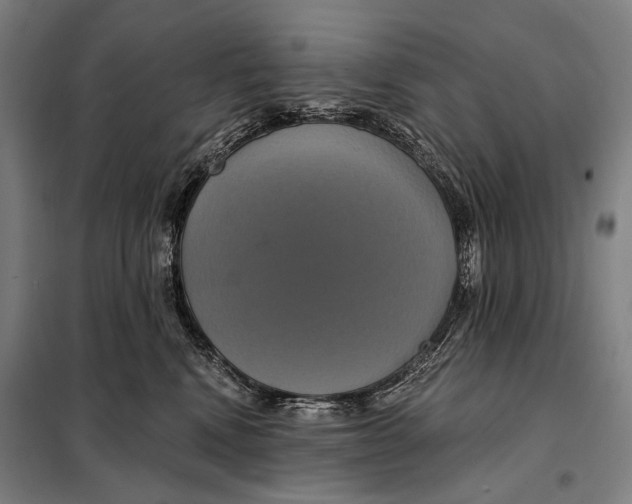 X0000097910472200804041505