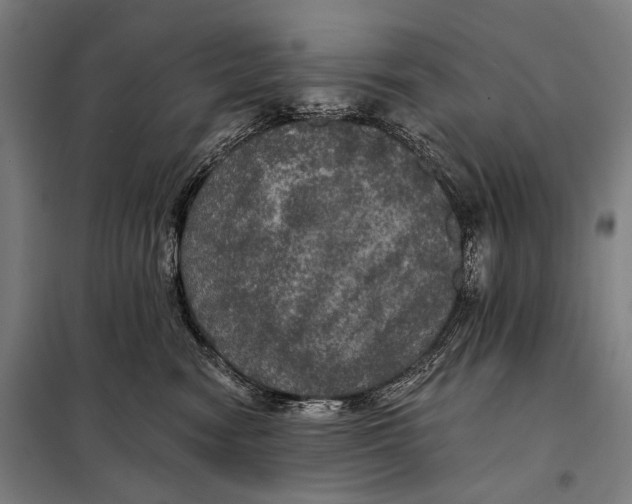 X0000097910474200804041505