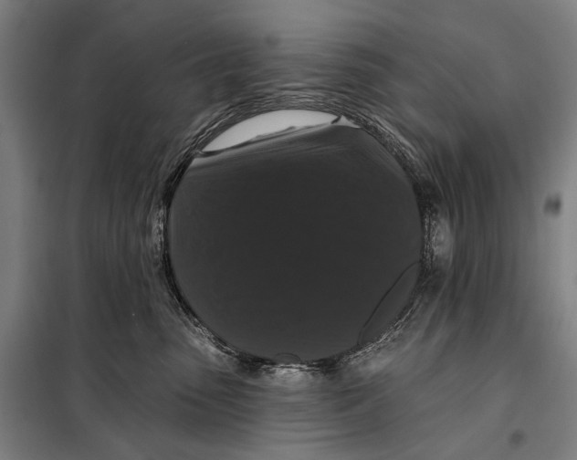 X0000097910475200804041505