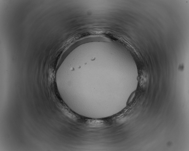 X0000097910476200804041505