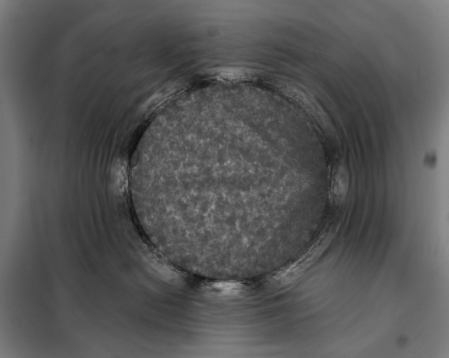 X0000097910478200804041505