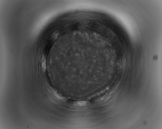 X0000097910479200804041505