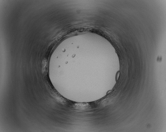 X0000097910480200804041505