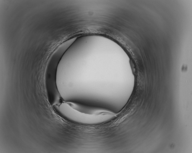 X0000097910481200804041505