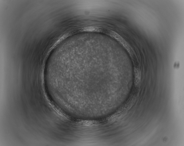 X0000097910482200804041505