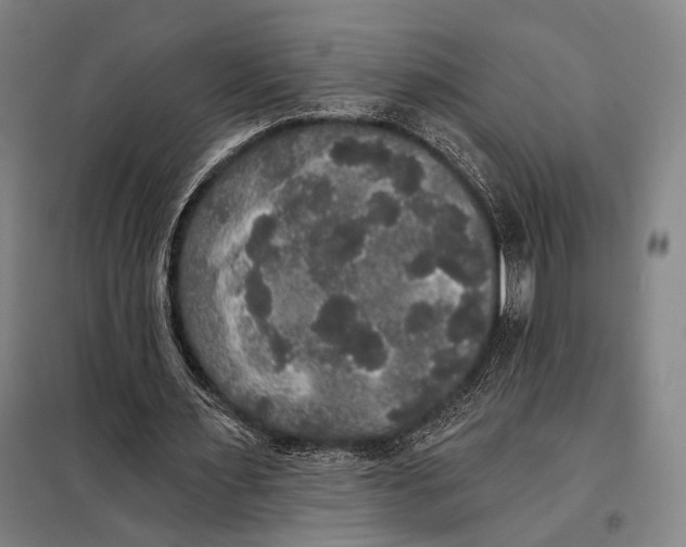 X0000097910483200804041505